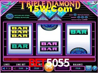 Sistemas de Segurança Bet5055