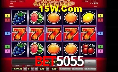 Experiência VIP Bet5055